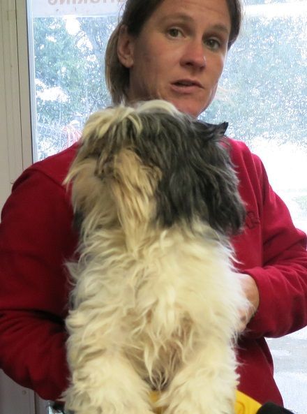 puppy_mill35.JPG